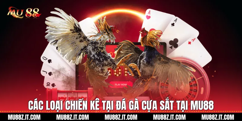 Các loại chiến kê tại Đá gà cựa sắt tại Mu88