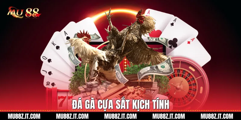 Đá gà cựa sắt kịch tính