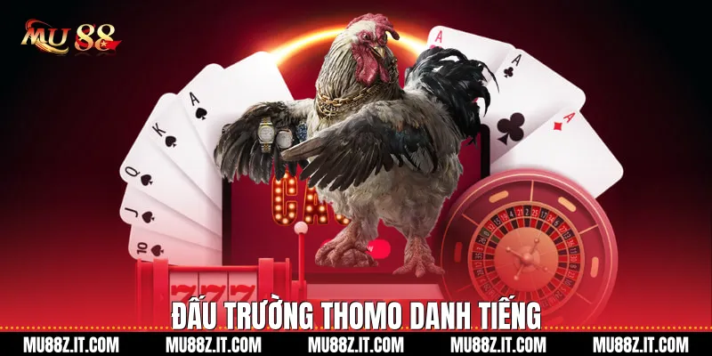 Đấu trường Thomo danh tiếng