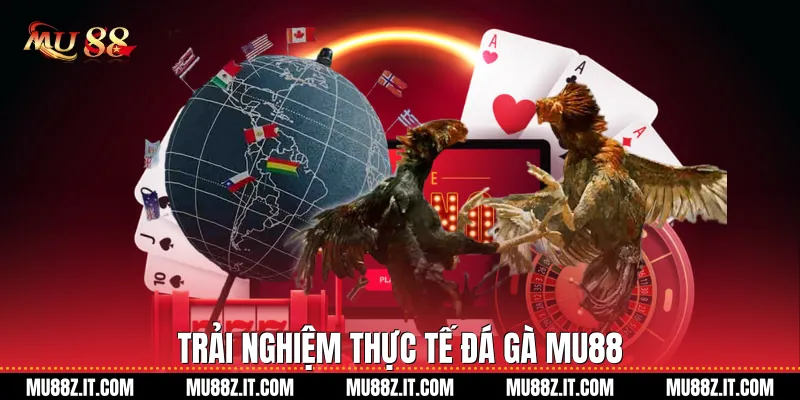 Kinh nghiệm tham gia Mu88 cho người mới 